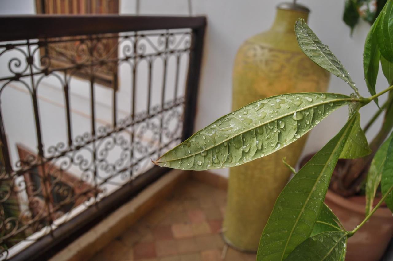 Riad Mandalay Marrakesz Zewnętrze zdjęcie